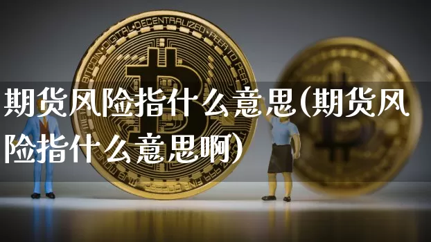 期货风险指什么意思(期货风险指什么意思啊)_https://www.hbxfywj.com_股票知识_第1张