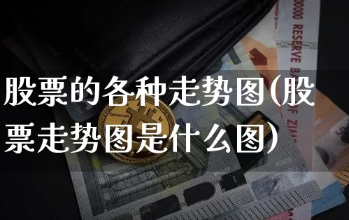 股票的各种走势图(股票走势图是什么图)_https://www.hbxfywj.com_期货知识_第1张