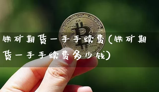 铁矿期货一手手续费(铁矿期货一手手续费多少钱)_https://www.hbxfywj.com_基金知识_第1张
