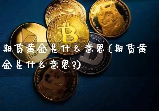 期货黄金是什么意思(期货黄金是什么意思?)_https://www.hbxfywj.com_基金知识_第1张