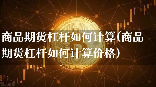 商品期货杠杆如何计算(商品期货杠杆如何计算价格)_https://www.hbxfywj.com_期货知识_第1张