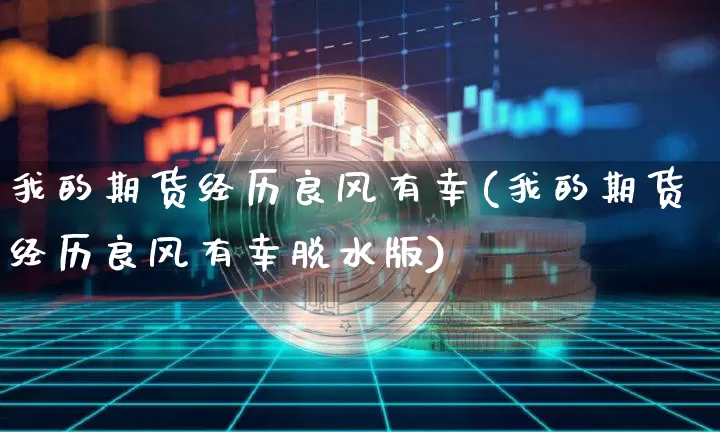 我的期货经历良风有幸(我的期货经历良风有幸脱水版)_https://www.hbxfywj.com_基金知识_第1张