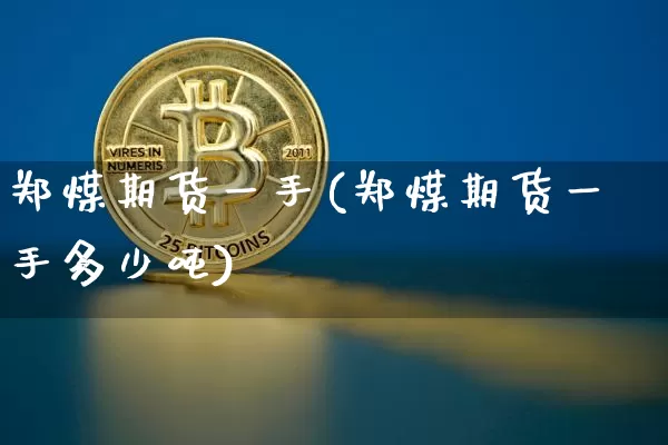 郑煤期货一手(郑煤期货一手多少吨)_https://www.hbxfywj.com_股票知识_第1张