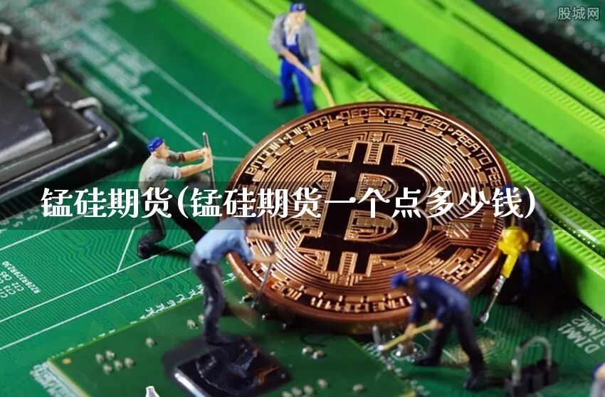 锰硅期货(锰硅期货一个点多少钱)_https://www.hbxfywj.com_基金知识_第1张