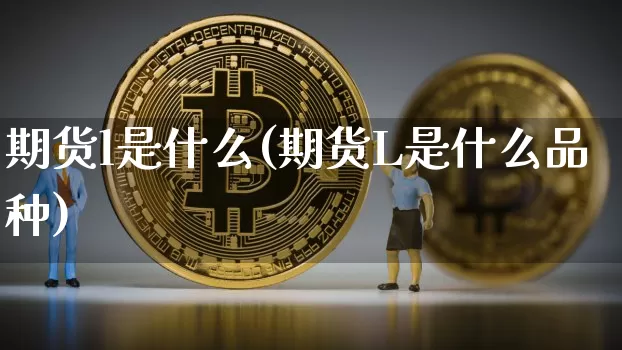 期货l是什么(期货L是什么品种)_https://www.hbxfywj.com_基金知识_第1张