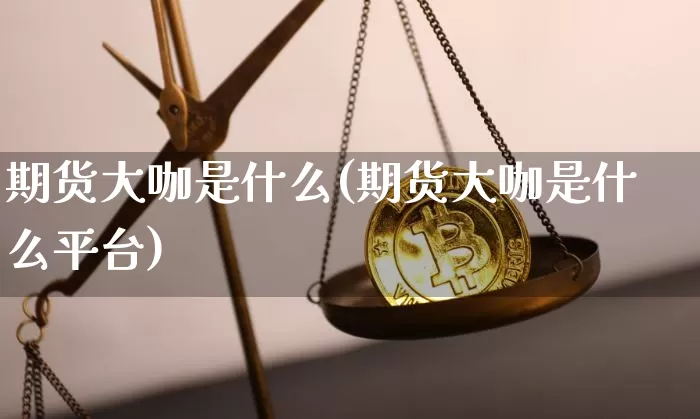 期货大咖是什么(期货大咖是什么平台)_https://www.hbxfywj.com_基金知识_第1张