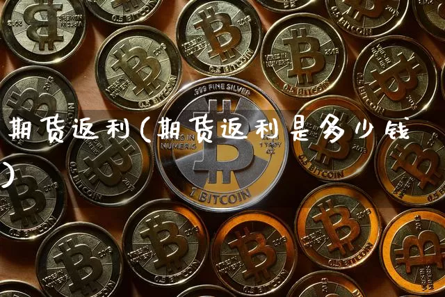 期货返利(期货返利是多少钱)_https://www.hbxfywj.com_证券知识_第1张
