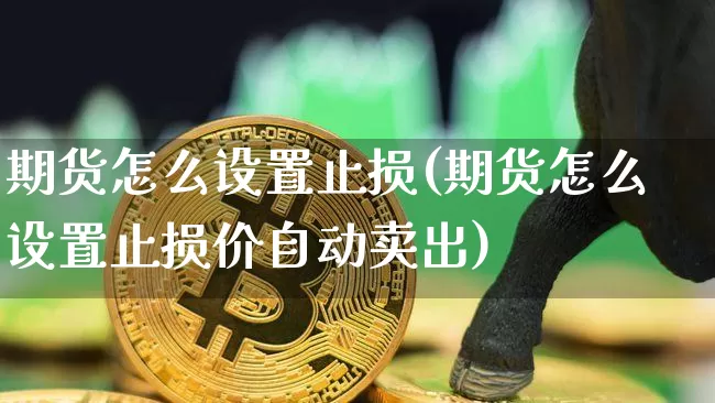 期货怎么设置止损(期货怎么设置止损价自动卖出)_https://www.hbxfywj.com_股票知识_第1张