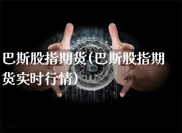 巴斯股指期货(巴斯股指期货实时行情)_https://www.hbxfywj.com_股票知识_第1张