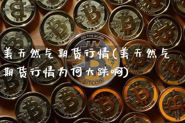美天然气期货行情(美天然气期货行情为何大跌啊)_https://www.hbxfywj.com_证券知识_第1张