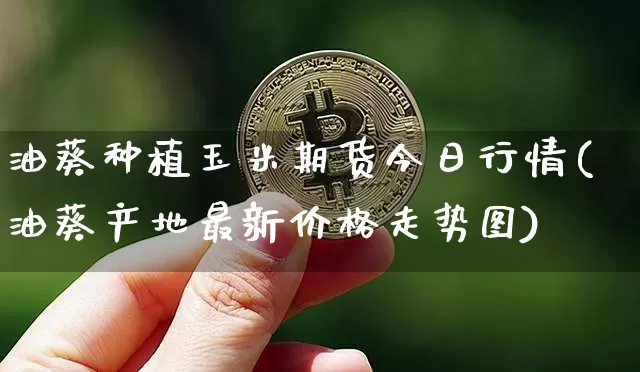 油葵种植玉米期货今日行情(油葵产地最新价格走势图)_https://www.hbxfywj.com_证券知识_第1张