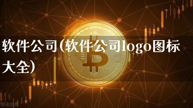 软件公司(软件公司logo图标大全)_https://www.hbxfywj.com_证券知识_第1张