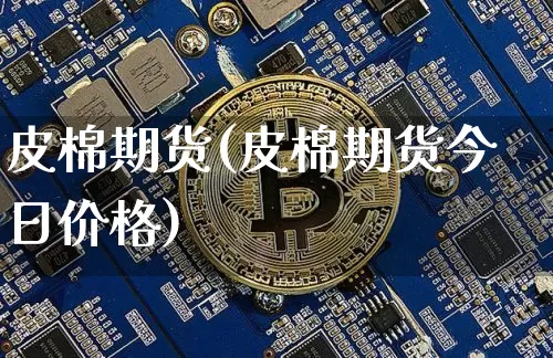 皮棉期货(皮棉期货今日价格)_https://www.hbxfywj.com_证券知识_第1张