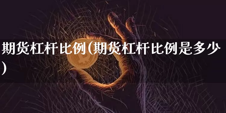 期货杠杆比例(期货杠杆比例是多少)_https://www.hbxfywj.com_期货知识_第1张