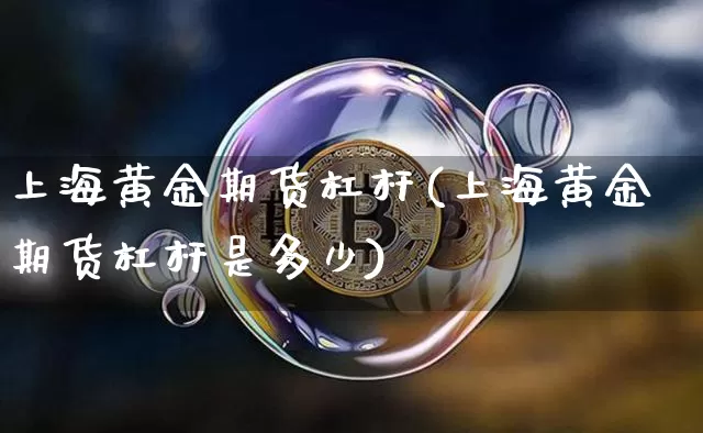 上海黄金期货杠杆(上海黄金期货杠杆是多少)_https://www.hbxfywj.com_证券知识_第1张