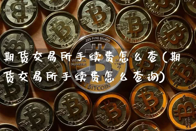 期货交易所手续费怎么查(期货交易所手续费怎么查询)_https://www.hbxfywj.com_股票知识_第1张