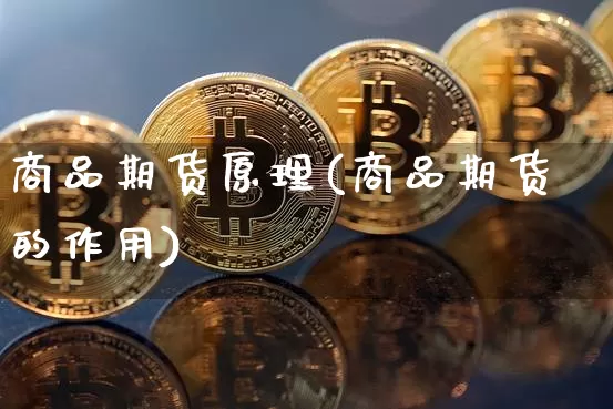 商品期货原理(商品期货的作用)_https://www.hbxfywj.com_基金知识_第1张