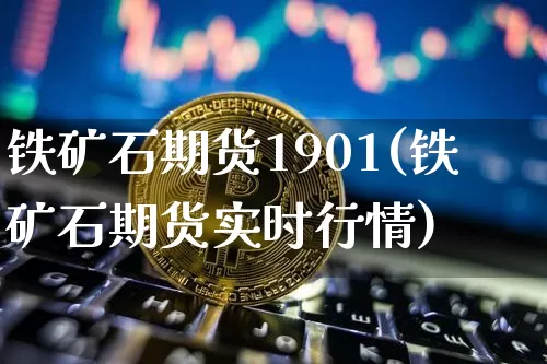铁矿石期货1901(铁矿石期货实时行情)_https://www.hbxfywj.com_基金知识_第1张