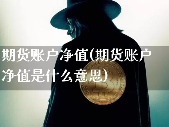 期货账户净值(期货账户净值是什么意思)_https://www.hbxfywj.com_证券知识_第1张