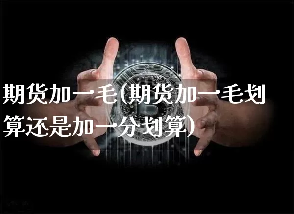 期货加一毛(期货加一毛划算还是加一分划算)_https://www.hbxfywj.com_基金知识_第1张