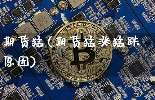 期货猛(期货猛涨猛跌原因)_https://www.hbxfywj.com_基金知识_第1张