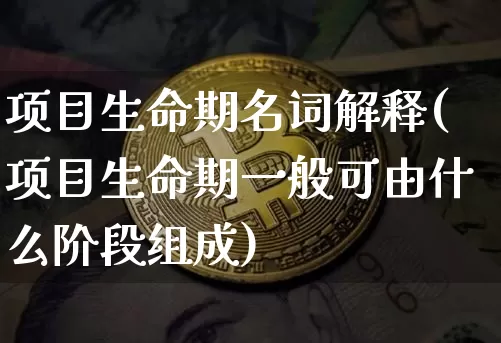 项目生命期名词解释(项目生命期一般可由什么阶段组成)_https://www.hbxfywj.com_股票知识_第1张