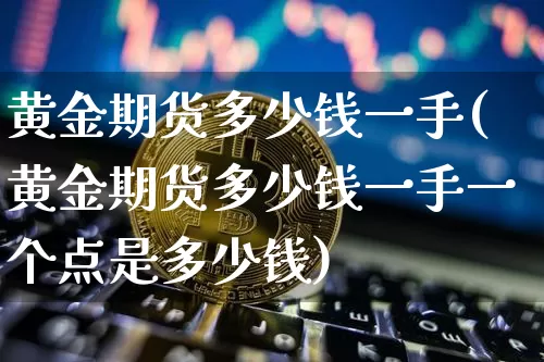 黄金期货多少钱一手(黄金期货多少钱一手一个点是多少钱)_https://www.hbxfywj.com_期货知识_第1张