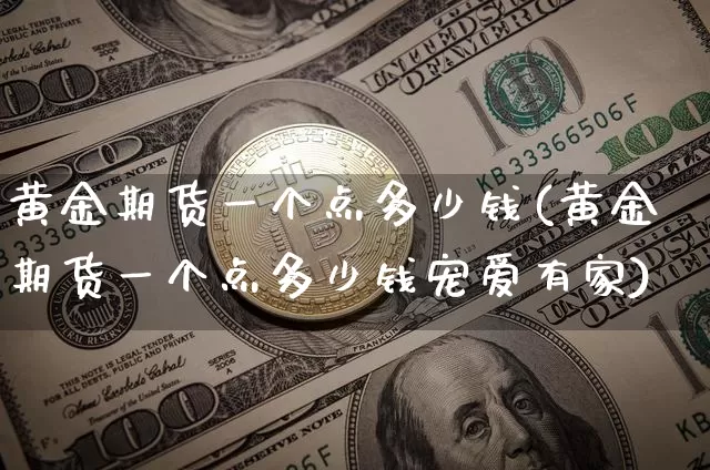 黄金期货一个点多少钱(黄金期货一个点多少钱宠爱有家)_https://www.hbxfywj.com_期货知识_第1张