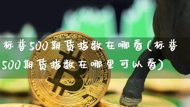 标普500期货指数在哪看(标普500期货指数在哪里可以看)_https://www.hbxfywj.com_股票知识_第1张