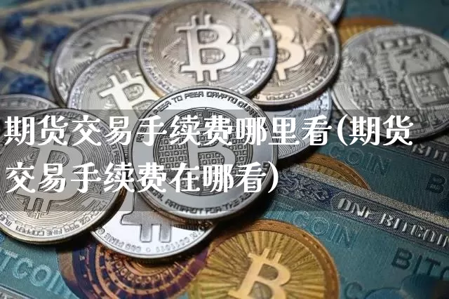 期货交易手续费哪里看(期货交易手续费在哪看)_https://www.hbxfywj.com_基金知识_第1张