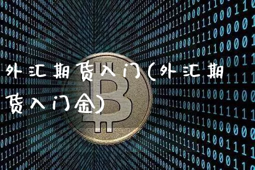 外汇期货入门(外汇期货入门金)_https://www.hbxfywj.com_期货知识_第1张