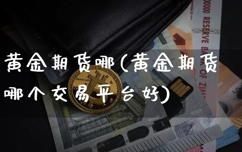 黄金期货哪(黄金期货哪个交易平台好)_https://www.hbxfywj.com_期货知识_第1张