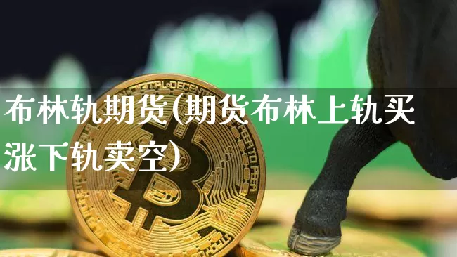 布林轨期货(期货布林上轨买涨下轨卖空)_https://www.hbxfywj.com_基金知识_第1张