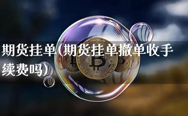 期货挂单(期货挂单撤单收手续费吗)_https://www.hbxfywj.com_基金知识_第1张