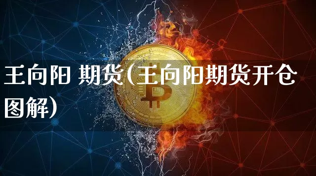 王向阳 期货(王向阳期货开仓图解)_https://www.hbxfywj.com_证券知识_第1张