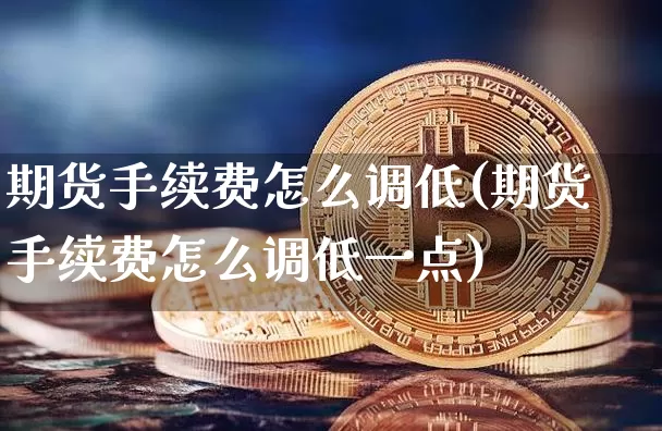 期货手续费怎么调低(期货手续费怎么调低一点)_https://www.hbxfywj.com_期货知识_第1张