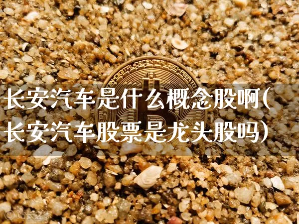 长安汽车是什么概念股啊(长安汽车股票是龙头股吗)_https://www.hbxfywj.com_基金知识_第1张
