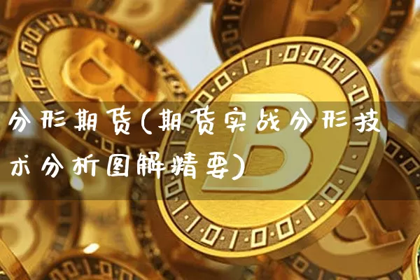 分形期货(期货实战分形技术分析图解精要)_https://www.hbxfywj.com_期货知识_第1张
