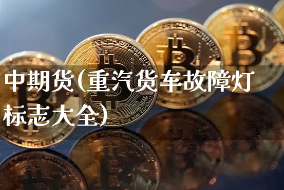 中期货(重汽货车故障灯标志大全)_https://www.hbxfywj.com_基金知识_第1张