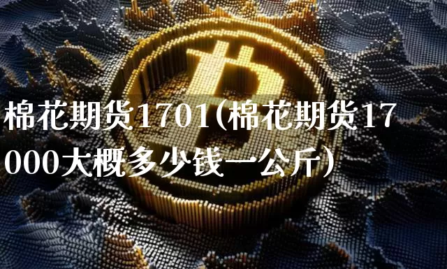 棉花期货1701(棉花期货17000大概多少钱一公斤)_https://www.hbxfywj.com_基金知识_第1张