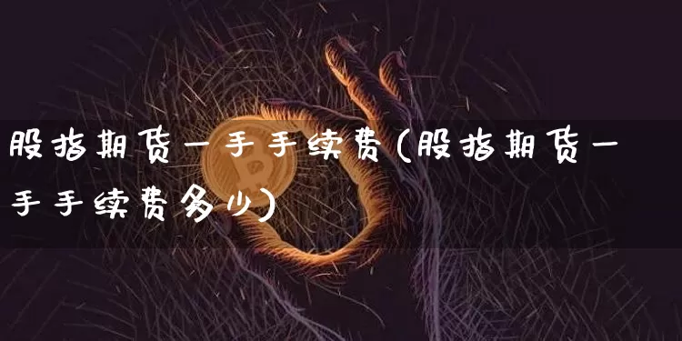 股指期货一手手续费(股指期货一手手续费多少)_https://www.hbxfywj.com_基金知识_第1张