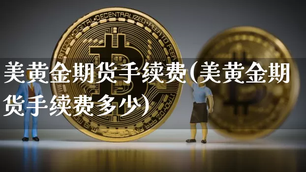 美黄金期货手续费(美黄金期货手续费多少)_https://www.hbxfywj.com_期货知识_第1张