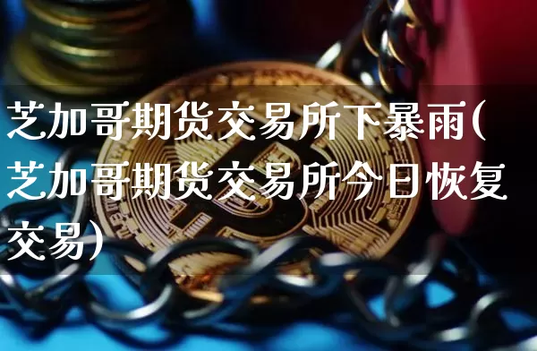 芝加哥期货交易所下暴雨(芝加哥期货交易所今日恢复交易)_https://www.hbxfywj.com_股票知识_第1张