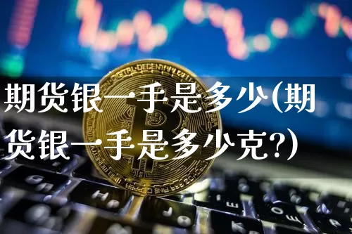 期货银一手是多少(期货银一手是多少克?)_https://www.hbxfywj.com_期货知识_第1张