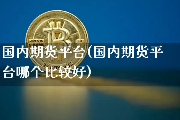 国内期货平台(国内期货平台哪个比较好)_https://www.hbxfywj.com_基金知识_第1张