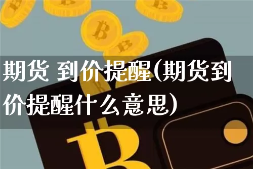 期货 到价提醒(期货到价提醒什么意思)_https://www.hbxfywj.com_基金知识_第1张