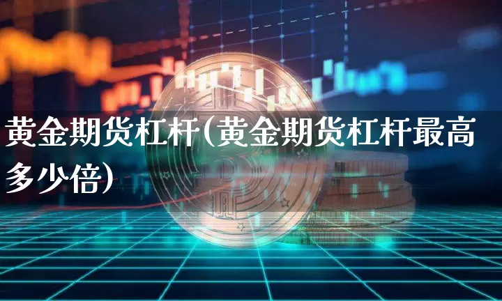 黄金期货杠杆(黄金期货杠杆最高多少倍)_https://www.hbxfywj.com_基金知识_第1张