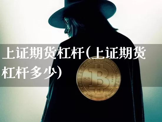 上证期货杠杆(上证期货杠杆多少)_https://www.hbxfywj.com_期货知识_第1张