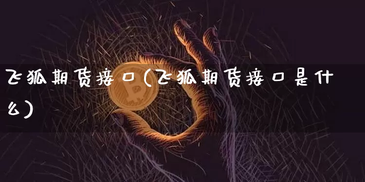 飞狐期货接口(飞狐期货接口是什么)_https://www.hbxfywj.com_期货知识_第1张