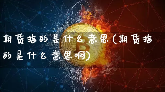 期货指的是什么意思(期货指的是什么意思啊)_https://www.hbxfywj.com_期货知识_第1张